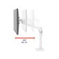 รูปภาพของ ERGOTRON NX Monitor Arm (white) ขาแขวนมอนิเตอร์แบบเดี่ยว Single Monitor Mount (PN:45-669-216)